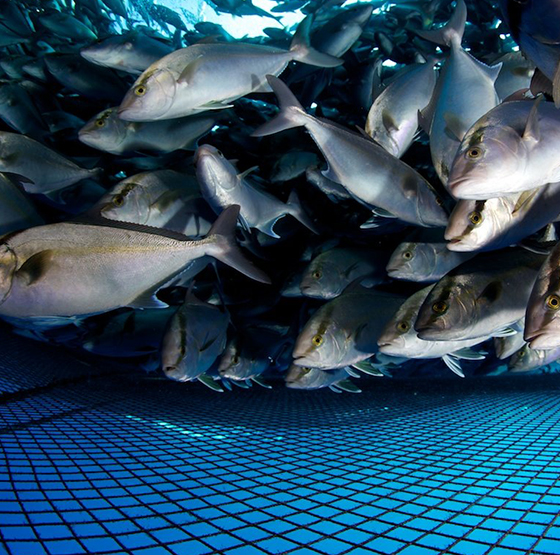 Aplikasi Generator Oksigen PSA